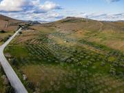 Quinta à venda em Vila Nova de Foz Côa