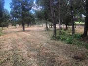 Quinta à venda em Viseu