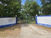 #Quinta Alcobaça #Área extensa #Localização #Vegetação...