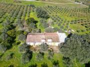 Quinta Alentejana com Terreno Amplo e Infraestruturas...