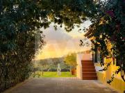 Quinta Alentejana | Oportunidade de Sonho | Exploração...