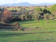 Quinta biológica com mais de 8 Hectares com...