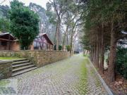 Quinta C/ 3 moradias