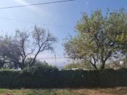 Quinta campestre a precio de terreno cerca de La Herradura