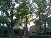 Quinta campestre en venta – El Barrial, Santiago, N.L