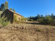 Quinta c/casa agrícola 6975m2 Meda de Mouros