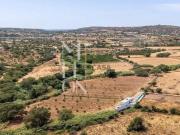 Quinta Centenária para Venda em Paderne Um Refúgio de...