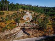 Quinta com 12.046 m2 2 Casas em Pedra para Reconstruir...