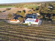 Quinta com 14,9 Hectares em Foros de Vale de Figueira,...
