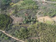 Quinta com 15.500 m² em Vale da Sertã