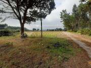 Quinta com 165.700 m2 | 24083818621