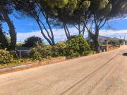 Quinta com 16 mil m2 em Tomar