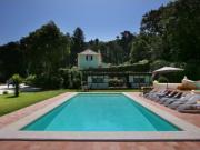 Quinta com três moradias com 1.211 m2 de área bruta de...