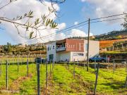 Quinta com 1,8 Hectares em Tabuao