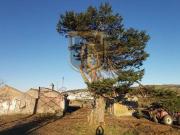 Quinta com 23.840m2 de terreno e 355m2 de construção, à...