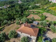 Quinta com 2 Hectares em Amarante/Porto, a 2min do Rio...