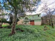 Quinta com 30.000m² em Alcofra, Vouzela