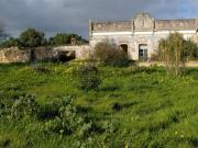 Quinta com 36.960m² à Venda na Fuseta Junto à Ria Formosa