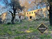 Quinta com 3 casas para restauro em Ribeiros FAFE