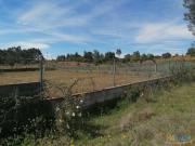 QUINTA COM 5123 M2 EM ALDEIA PROXIMA DE CASTELO BRANCO |...