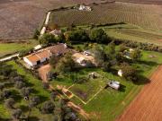 Quinta com 5,9 ha a 3 km de Borba Tranquilidade,...