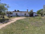 Um Refúgio no Alentejo: Quinta com quase 800 Oliveiras e...