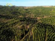 93 ha para venda no Sobral do Campo!