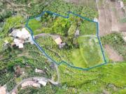 Quinta com 9.820 m² em Câmara de Lobos Ideal para...