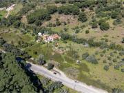 Quinta com casa em ruína para reabilitar em Santiago do...