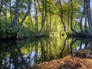 Quinta com Casa para Recuperação em Ferreira de Aves, Viseu
