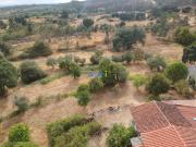 Quinta com Casa, Poço, Mina, 1ha e Arvores de fruto,... Quinta com Casa, Poço, Mina, 1ha e Arvores de fruto,...