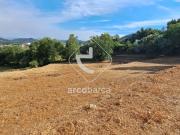 Quinta com casa rustica para recuperar e 10.500m2 de...