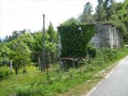 Quinta com casa rustica para recuperar e 10.500m2 de...