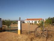 Quinta com cerca de trinta hectares no Alentejo, com...