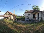 Quinta com Moradia para restauro em Luzim Penafiel