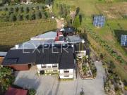 Quinta com moradia T4, anexos, área de lazer, vinhas em...