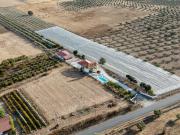 Quinta com Moradia T4 e Piscina | 3,25 hectares| Olival...