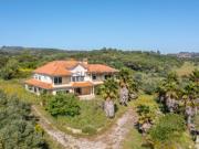 QUINTA COM MORADIA T7 EM BUCELAS VILA DE REI