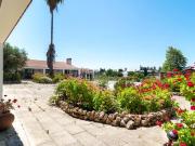 Quinta com olival em Moura, Alentejo