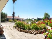 Quinta com olival em Moura, Alentejo