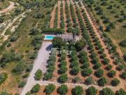 Quinta com produção de azeite Lagoa/Algarve/Portugal
