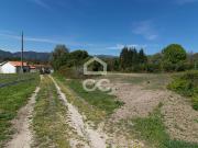 Quinta com Produção de mirtilo e framboesa em Requeixo... Quinta com Produção de mirtilo e framboesa em Requeixo...