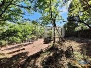 QUINTA COM RUINA OLIVEIRA DO DOURO | 25113921197