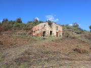 Quinta com ruínas de casa de habitação e arrumos e...