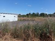 Quinta com terreno e armazém, área 6.000m2