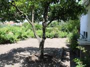 Quinta com terreno Urbano para construir