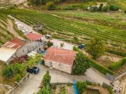 Quinta com Vinha e Moradia T2 em Constance