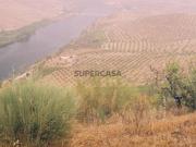 QUINTA COM VINHA FIGUEIRA DE CASTELO RODRIGO