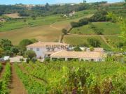 Quinta com Vinha junto a Alenquer