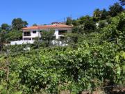 Quinta com Vinha, Produção de Vinho e Recursos Hídricos...